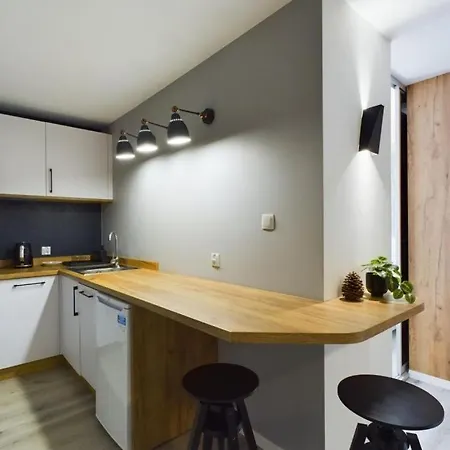 Dabrowka Exclusive - W Parku Lesnym, Sauna, Appartamento