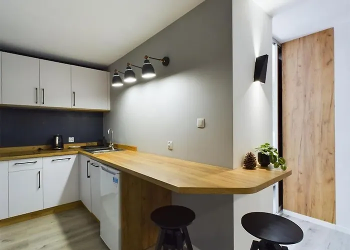 Dabrowka Exclusive - W Parku Lesnym, Sauna, Апартаменты