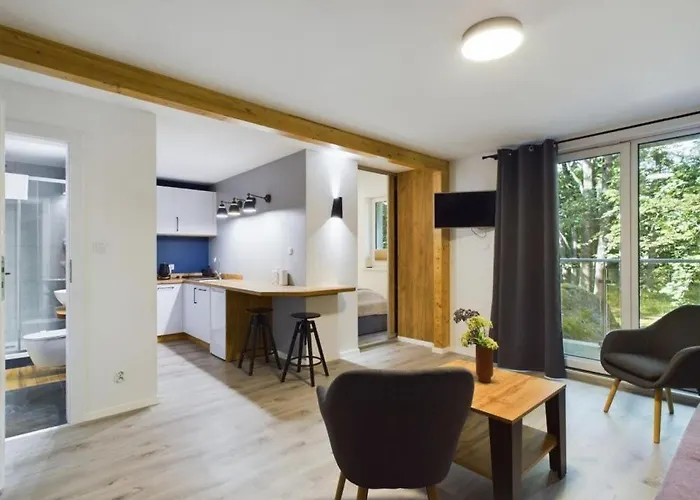 Апартаменты Dabrowka Exclusive - W Parku Lesnym, Sauna,